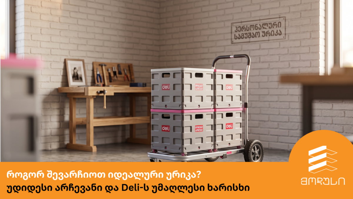 როგორ შევარჩიოთ იდეალური ურიკა? უდიდესი არჩევანი და Deli-ს უმაღლესი ხარისხი