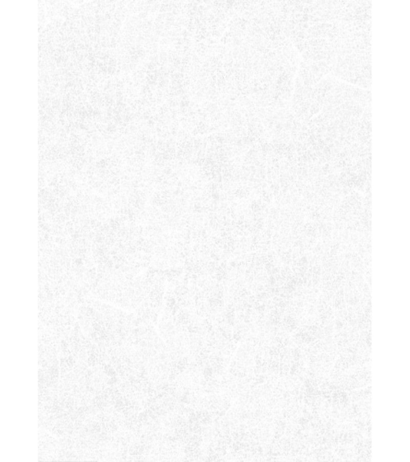 Обои на основе винилового флизелина № 2847-5 Импульс 1,06*10 мт. Эрисманн