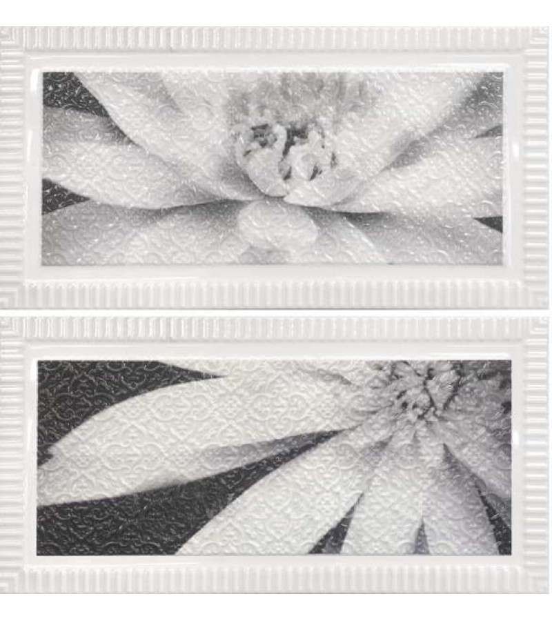 კერამ.  დეკორი  2-ცალი   ”SET ADDA”  60x60  DUAL GRES S.A.