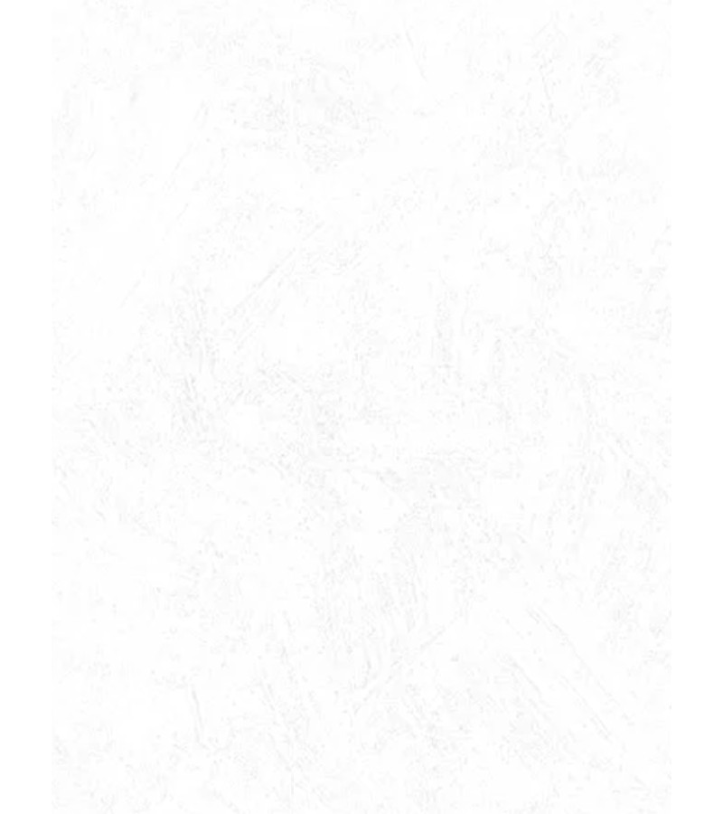 Обои на виниловой флизелиновой основе № 2540-1 ModeViles 1,06*25 м. Эрисманн