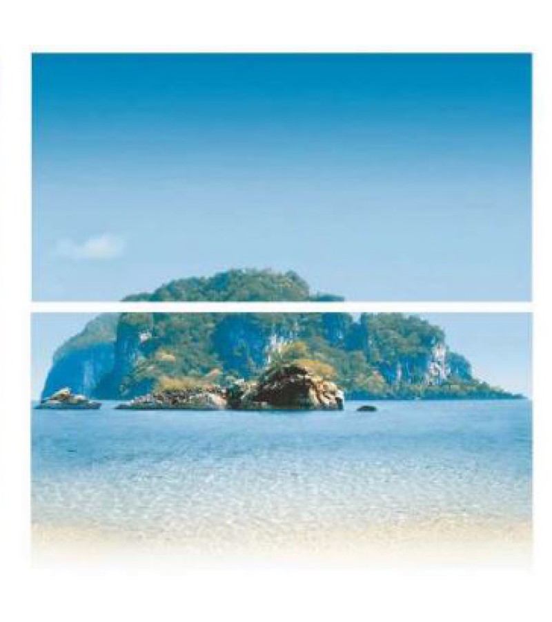 კერამ.  დეკორი  2-ცალი   ”SET MADAGASCAR”  60x60  DUAL GRES S.A.