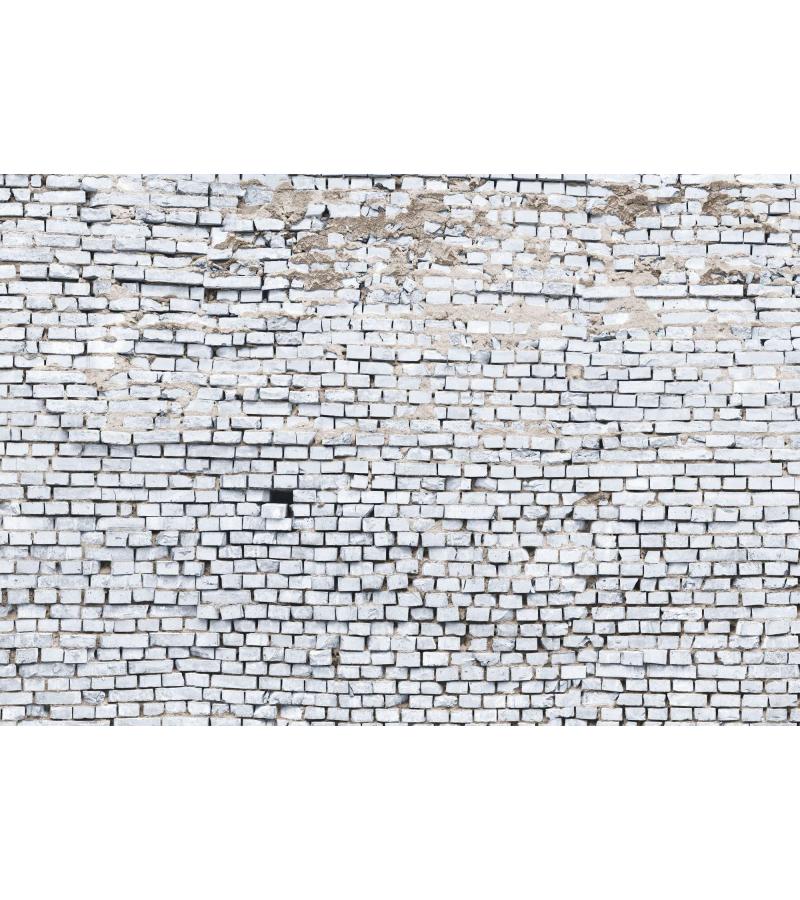 ფოტო შპალიერი  368x254cm (8პანელი)  White Brickt  8-881  მწარ. KOMAR