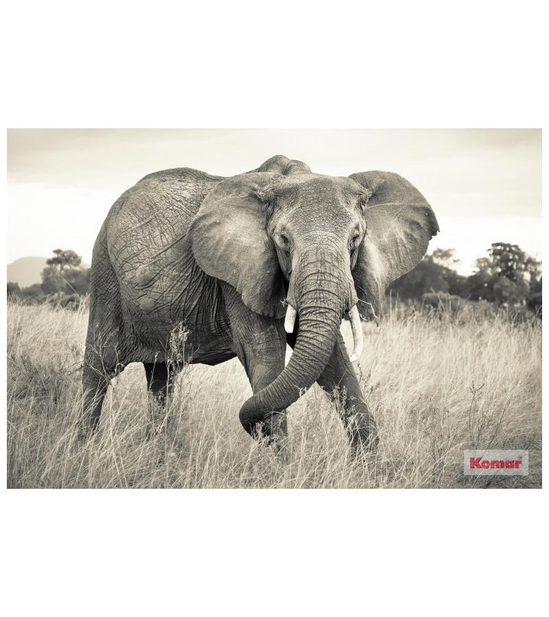 ფოტო შპალიერი  368x248cm (4პანელი)  Elephant  XXL4-529  მწარ. KOMAR