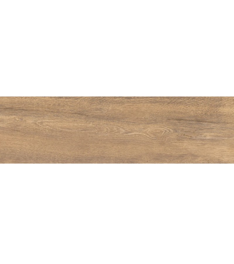 კერამოგრანიტი  ASPEN ROBLE MT   22.5X119.5  CICOGRES S.A