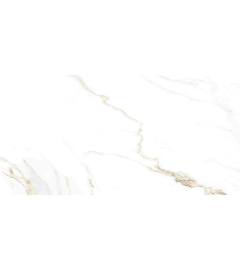 Ceramic granite NAOS GOLD PL R 60*120 EMOTION.SL