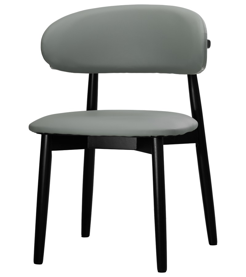 სკამი   FSXR-288#-4  ფერი: SR602-12