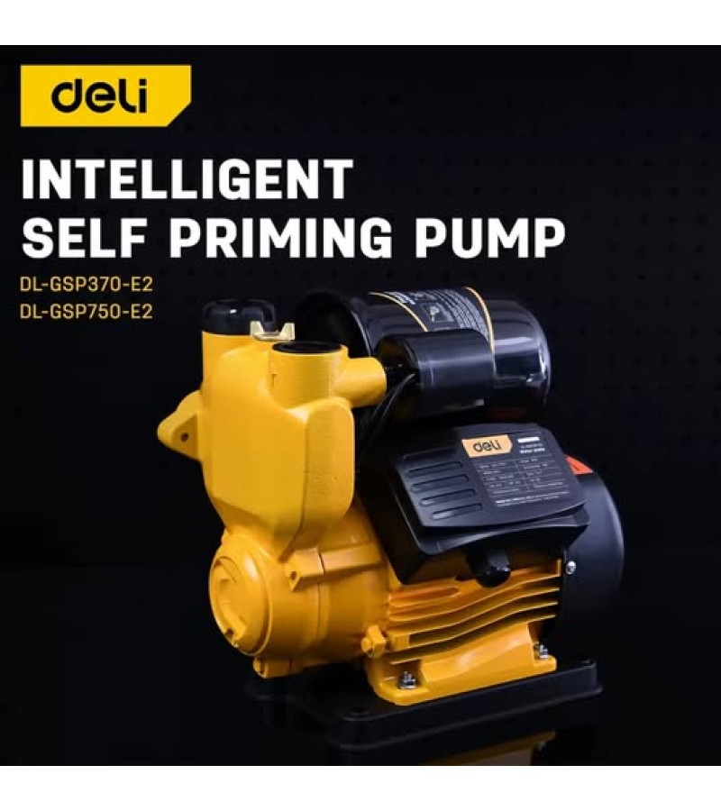 ჭკვიანი თვითშემწოვი ტუმბო  750W  DL-GSP750-E2   მწარ.  deli 