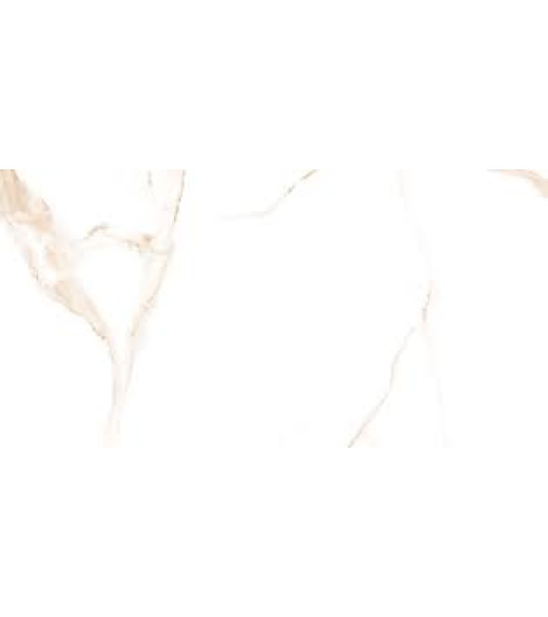 Ceramic granite ALSACIA ORO PL 60X120 CICOGRES S.A