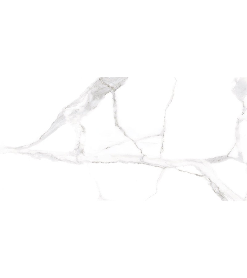 Ceramic granite ALSACIA BLANCO PL 60X120 CICOGRES S.A