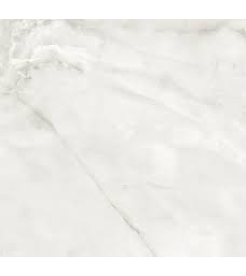 Ceramic granite POTOMAC BLANCO PL 120X120 Halcon Cer. A.S.